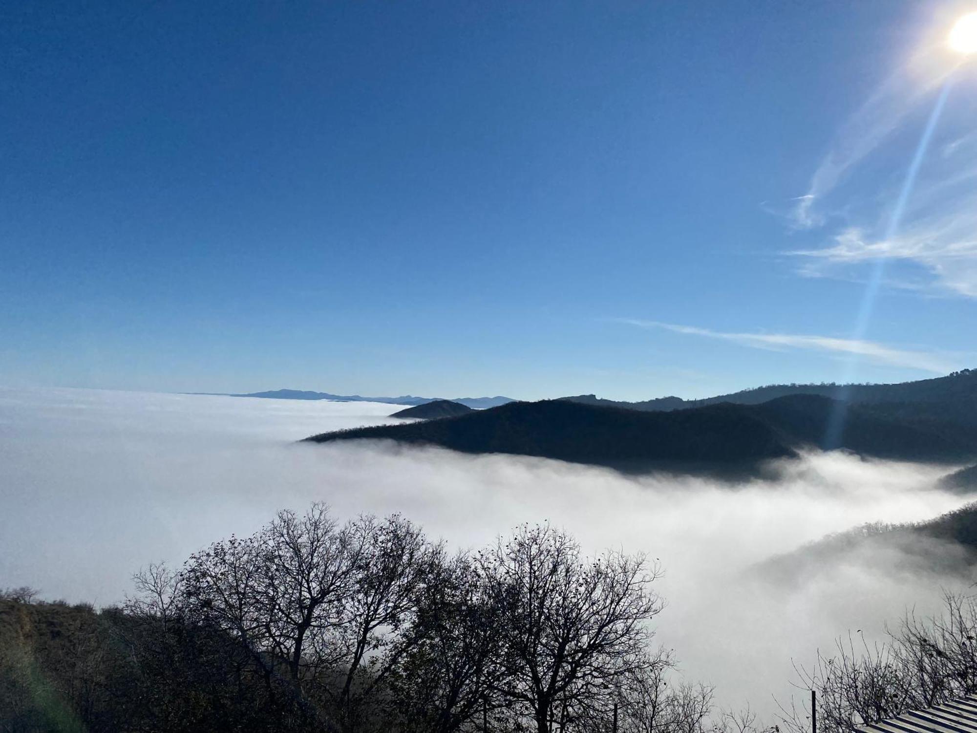 Panorama Ξενοδοχείο Sighnaghi Εξωτερικό φωτογραφία