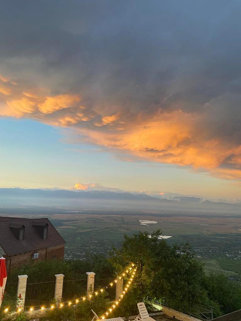 Panorama Ξενοδοχείο Sighnaghi Εξωτερικό φωτογραφία